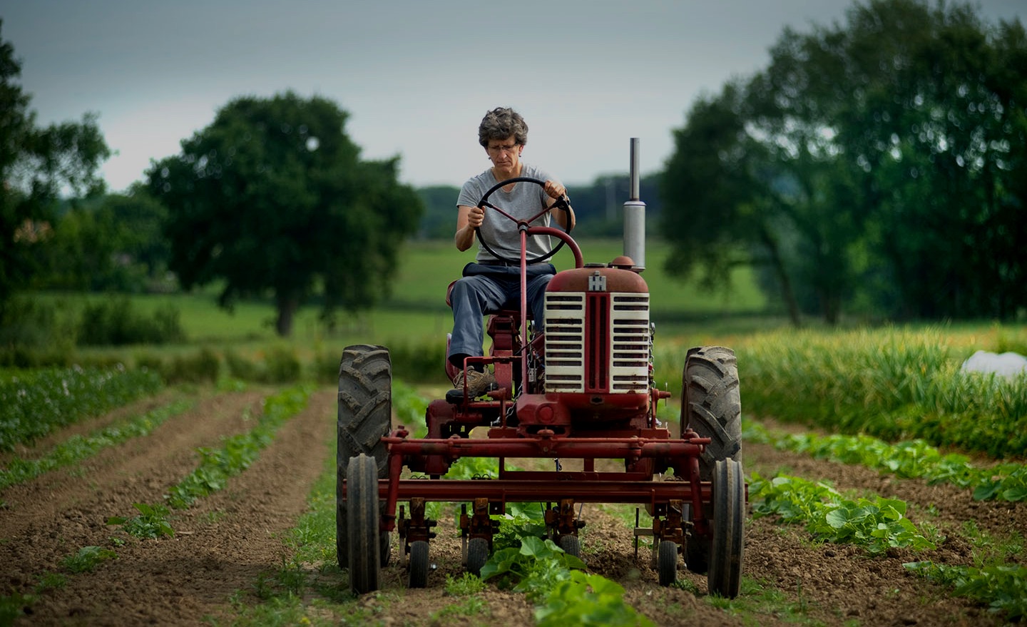 Boer rijd met tractor tractor op het veld